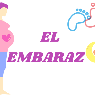 Timeline: EL EMBARAZO