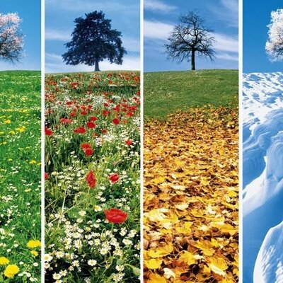 Timeline: LE 4 STAGIONI