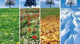 Timeline: LE 4 STAGIONI