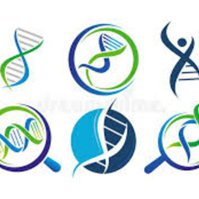 Timeline: La scoperta del DNA