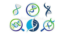 Timeline: La scoperta del DNA