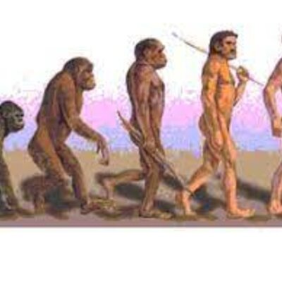Timeline: La preistoria