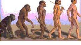 Timeline: La preistoria