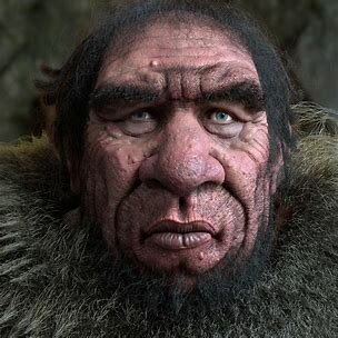 Homo Neanderthanlesis