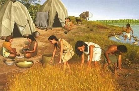 Naixement de l'agricultura