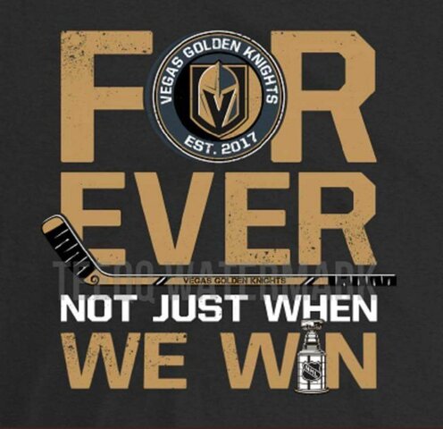 Vegas Expansion Draft