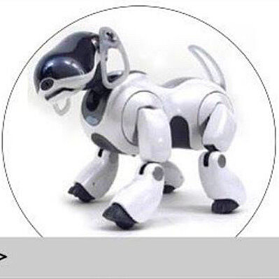 Aibo