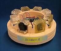 2010 : Ecobot-III