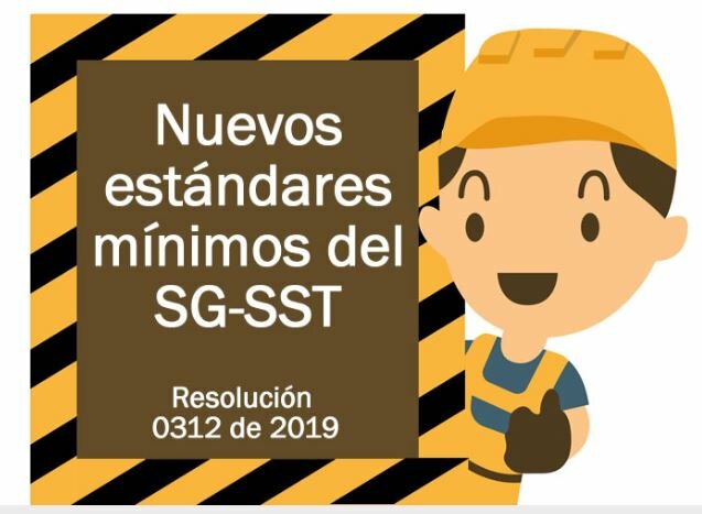 Resolución 0312 de 2019