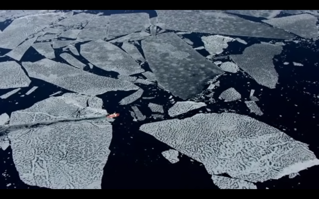 CALENTAMIENTO GLOBAL