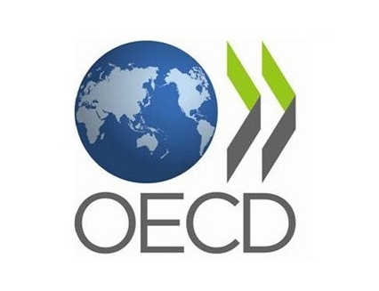 Organización para la Cooperación y el Desarrollo Económico (OCDE)