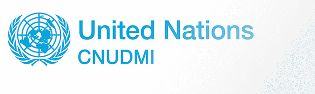 Comisión de las Naciones Unidas para el Derecho Mercantil Internacional (CNUDMI)
