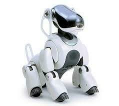 Aibo