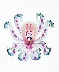 Robot pieuvre : Octobot