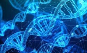 Secuenciación del 90% del genoma humano