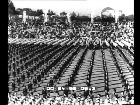 Istituzione dell'ENEF