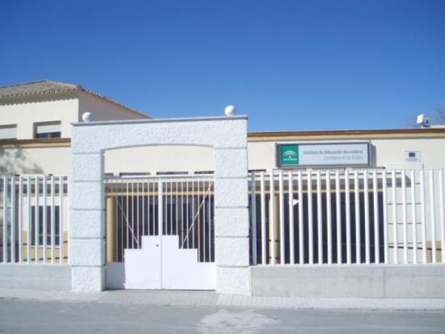 Comienzo en el Instituto