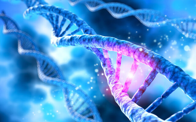 Autorisation de la PMA aux couples de femmes et aux femmes célibataires