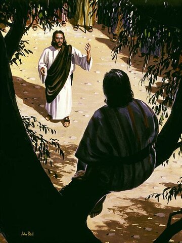 Zacchaeus Meets Jesus