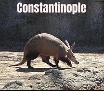 Konstantinoopoli vallutamine