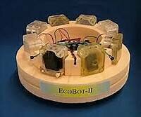 2010 : Ecobot-III