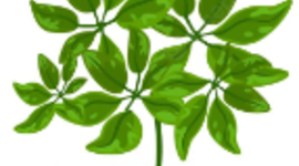 Timeline: HISTORIA DE LA BOTANICA