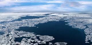 Mediados del siglo XX