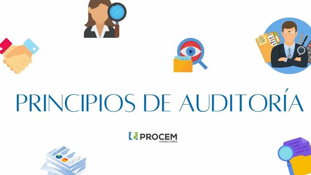 Principios de la Auditoría