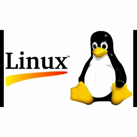 Lanzamiento Linux