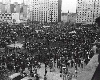 Seguridad y tranquilidad pública