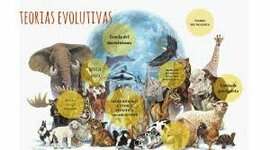Timeline: Teorías evolutivas pre darwinianas