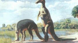 Timeline: Paleoimagery