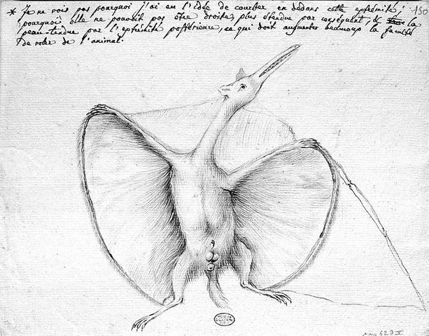 Johann Hermann, 1800 _Pterodactylus antiquus_
