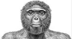 Última abuela común de humanos y chimpancé