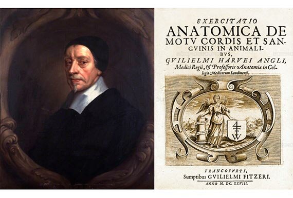William Harvey 1578 -1657