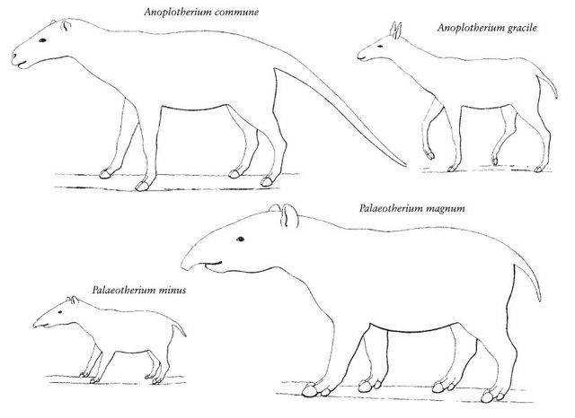 Charles Leopold Laurillard, 1812