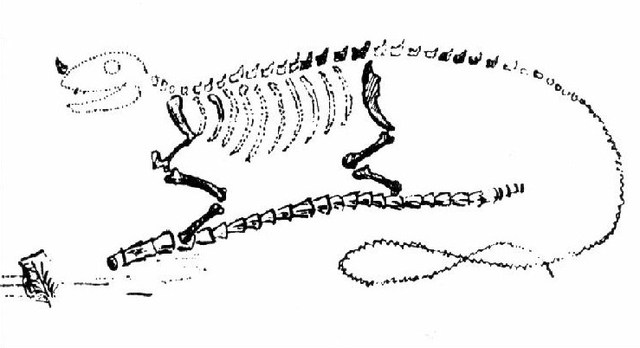 Gideon Mantell 1832 _Iguanodon_