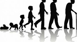 Timeline: Introduction to Growth and Development Assignment