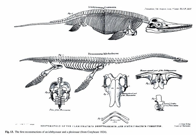 William Conybeare, 1824