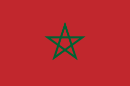 Consitutional referendum in Morocco