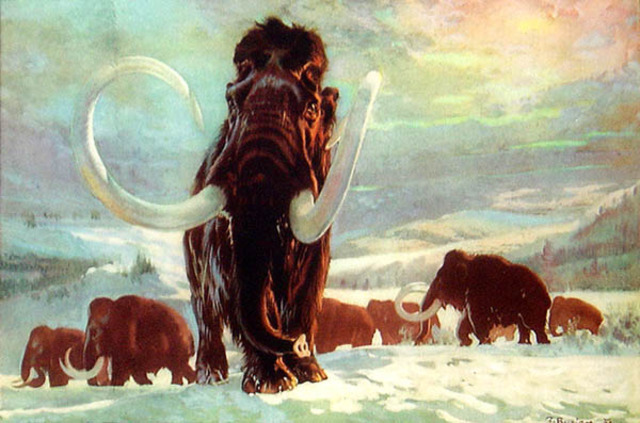 Zdeněk Burian, 1941