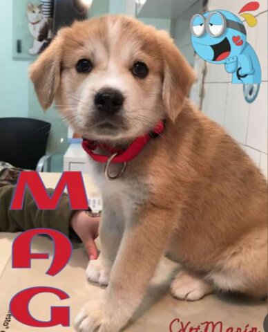 Arribada de un nou membre