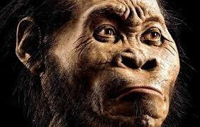 Aparició dels primers homínids