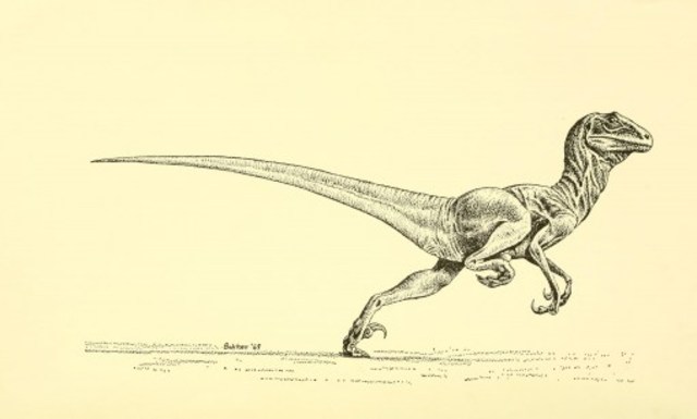 Robert Bakker 1969 _Deinonychus_