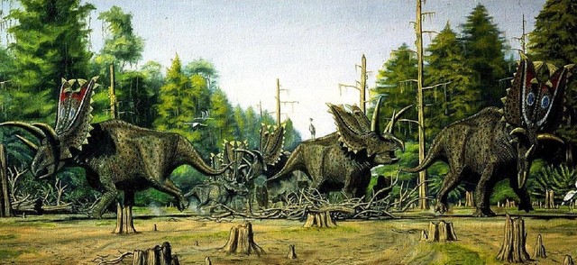 Gregory Paul, 1977 _Pentaceratops_
