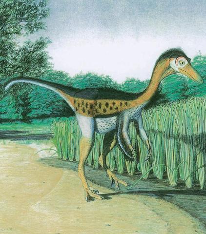 Gregory Paul, 1976 _Troodon_