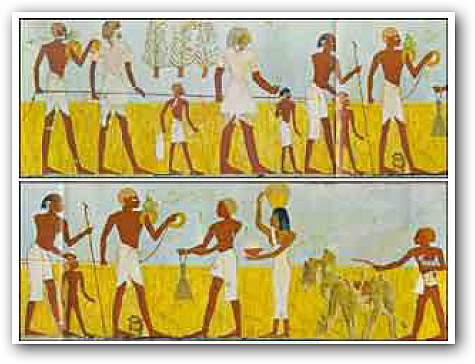 Papiro en el que aparecen agrimensores egipcios.