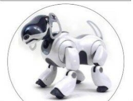 aibo