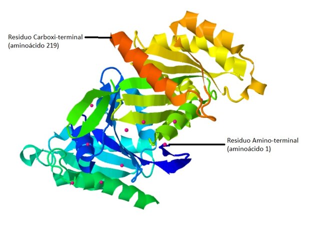 Imagen tridimensional de las proteínas