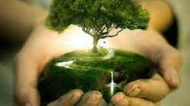 Timeline: Historia de la relación del hombre con la naturaleza.